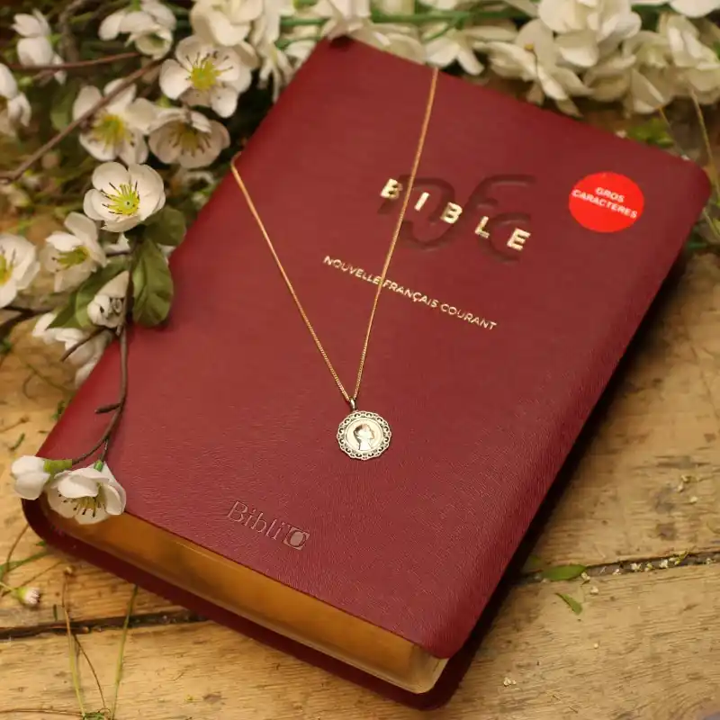 Ensemble Bible et Parure Vierge Marie en Plaqué Or