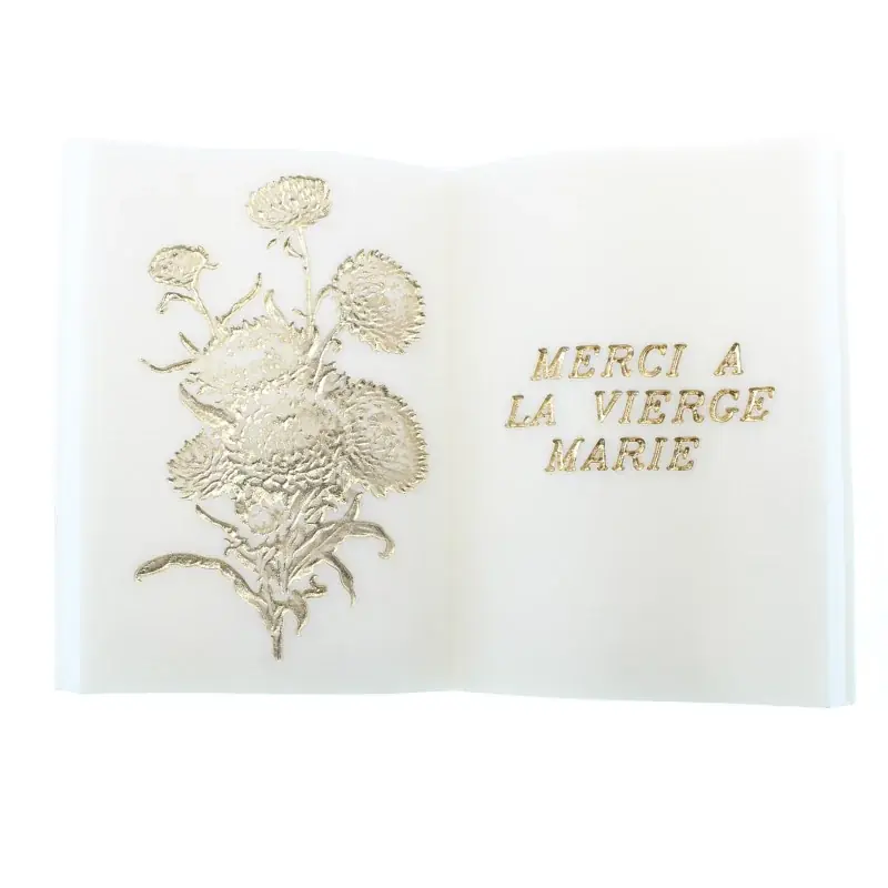 Plaque "Merci à la Vierge Marie" en forme de livre en résine blanche et or 15x21cm