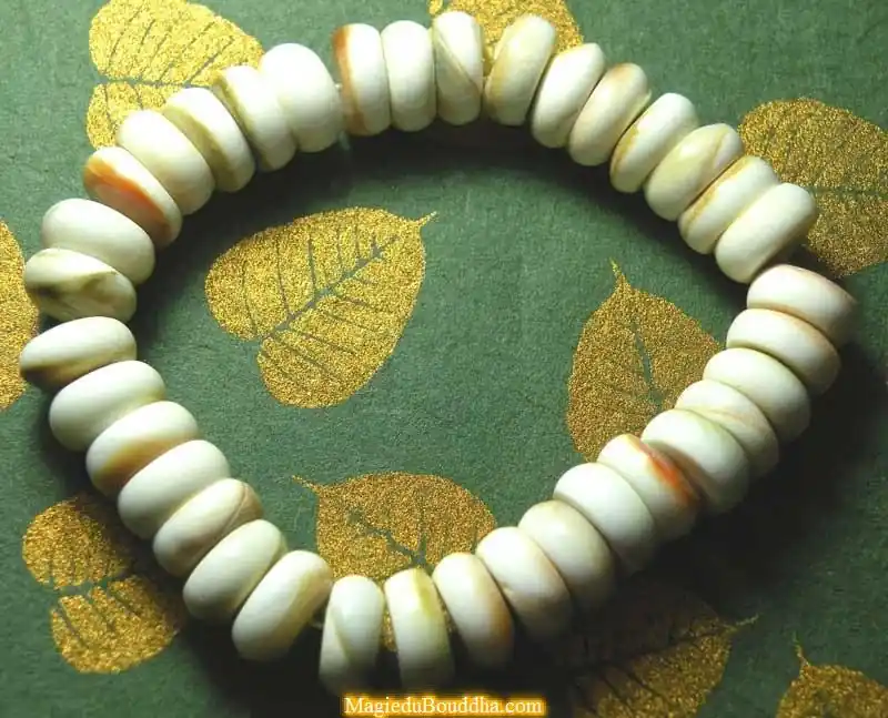 Wrist mala in conch shell "eye of Shiva".