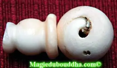 Large head beads for mala - conch