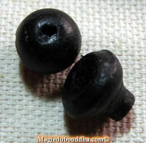Tibetan mala head bead - black wood.