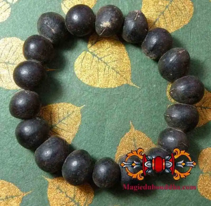 Soapberry Seed Wrist Mala - Reetha mala.