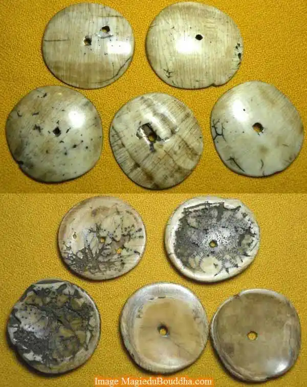 Large flat Tibetan conch beads "from the land of the Nagas".