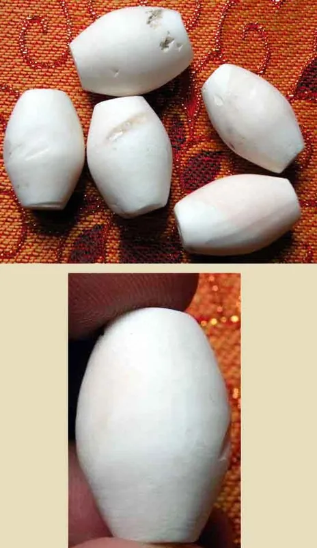 Tibetan fossil conch beads "from the land of the Nagas".