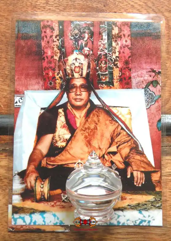 Tibetan Nectar Pills Tendu Rilbu by His Holiness Penor Rinpoche.