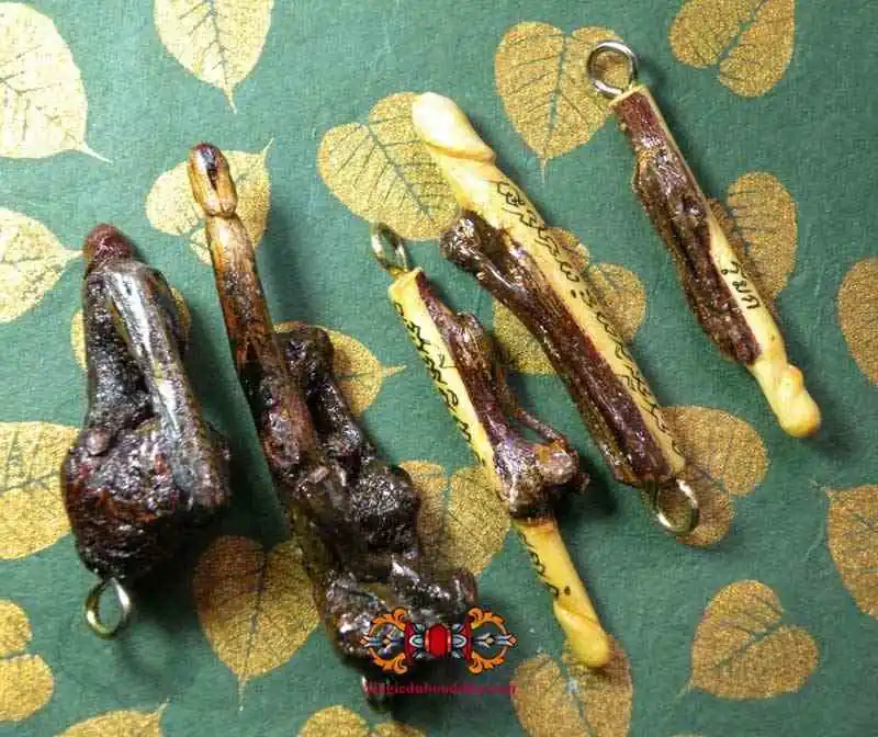 Palat Kick Phallic Amulet in Sacred Wood Gafak Mae Moh - Very Venerable Ajarn Sané.