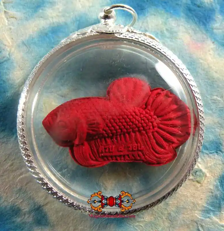 Fighting Fish Amulet Pla Kad Deng - Most Venerable LP Nuam