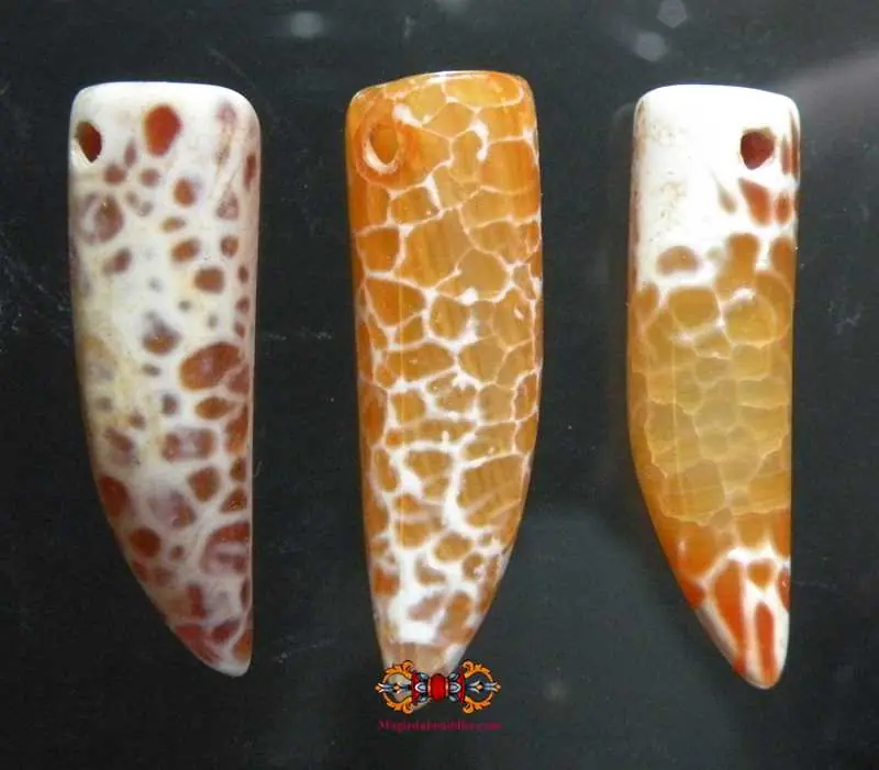 Tibetan "Tiger Tooth" amulets in speckled agate.