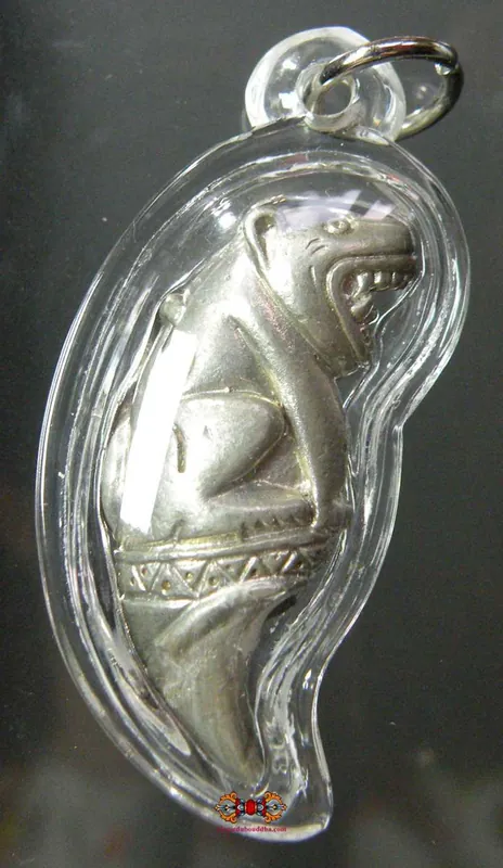 Black Tiger Tooth Amulet Paya Saming Dam - Most Venerable LP Saen.