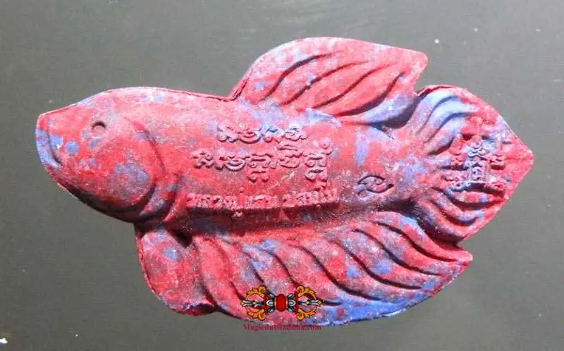 Thai Fighting Fish Amulet Pla Kad - Most Venerable LP Saen.