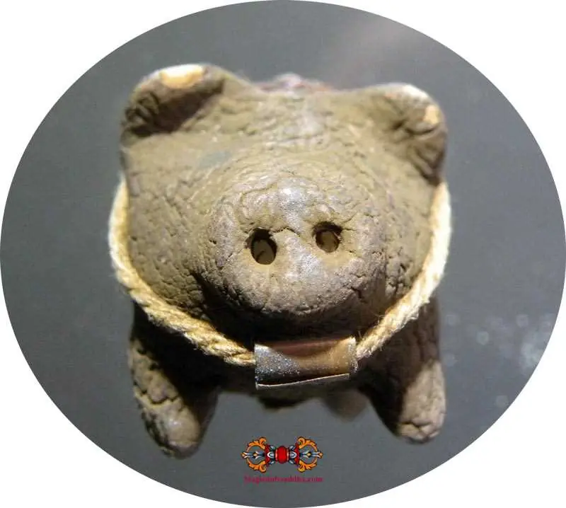 Thai Lucky Charm Sacred Pig - Most Venerable LP Lum.