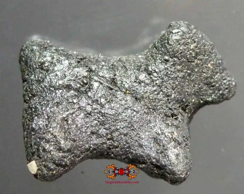 Ancient Thai Voodoo Amulet - Kwai Tanoo.