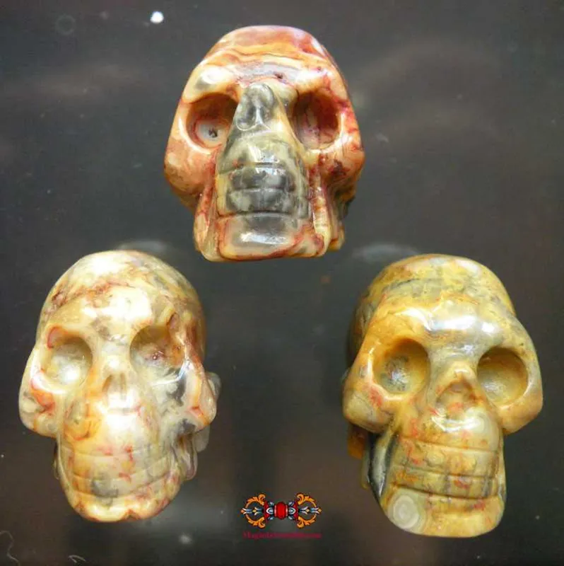 Human skull carved from fossil wood.