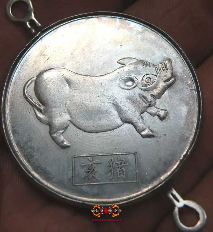 Chinese fortune coin pig.