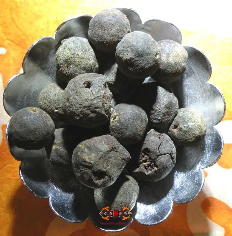 Sacred Shiva Seeds - Raw Rudraksha.