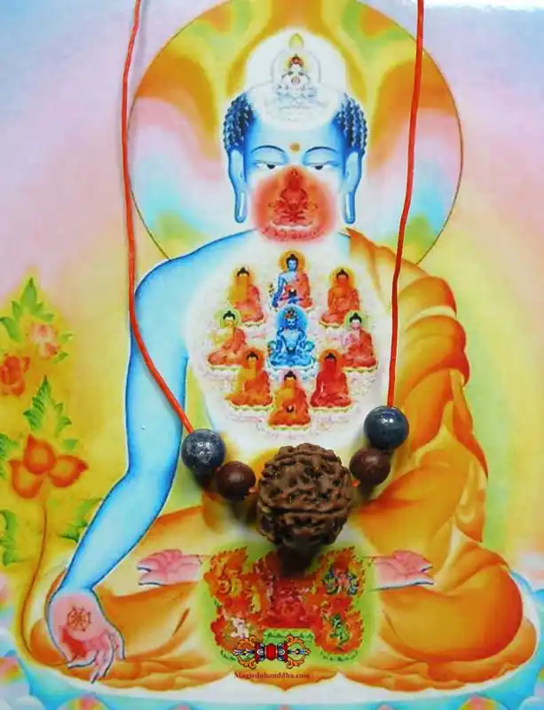 Tibetan Health Talisman Sangye Menla Rilbu - Venerable Tenzin Tetül Rinpoche.