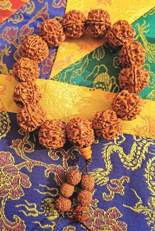 Wrist mala made of large 5-faceted red rudraksha.
