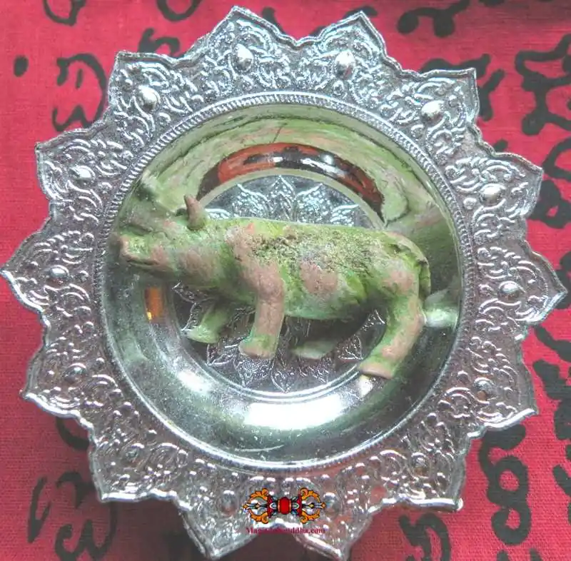 Thai Sacred Pig Amulet Paya Moo - Most Venerable LP Kassem.