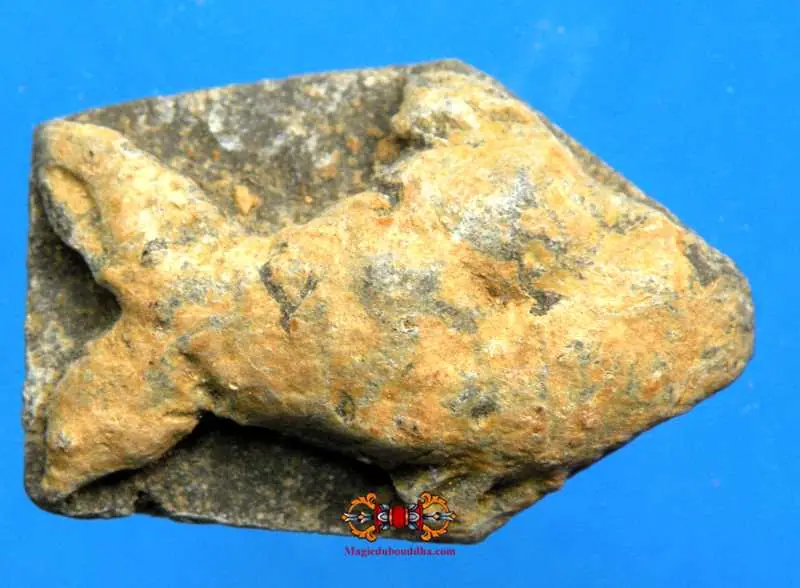 Thai Fortune Amulet Pla Tapian Fish - Most Venerable LP Tim.