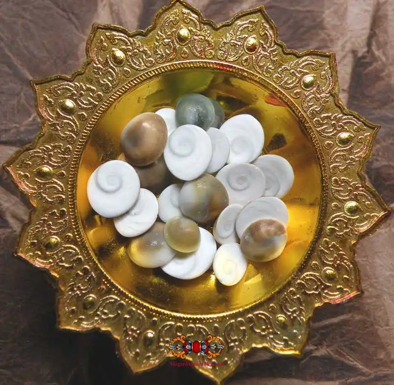 Thai Hin Hoi Sacred Stones (Eye of Kali) - Attracts fortune and talisman of lovers.