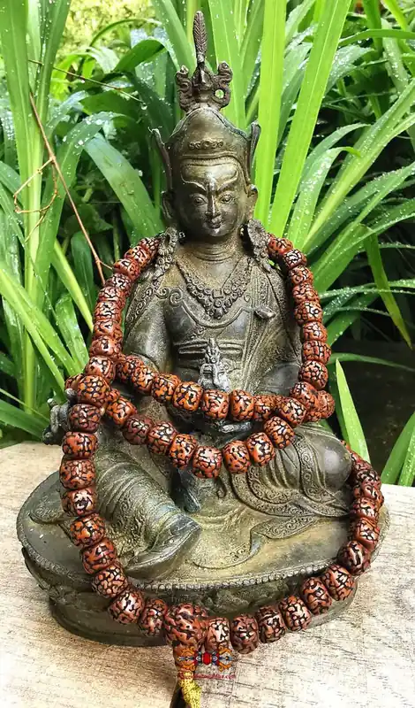 Tibetan rosary made of small aged rudraksha.