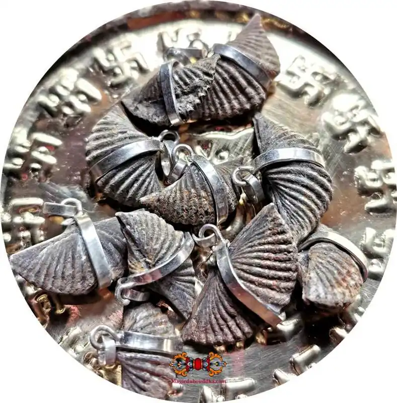 Shaligram pendants (sacred fossils of Vishnu).