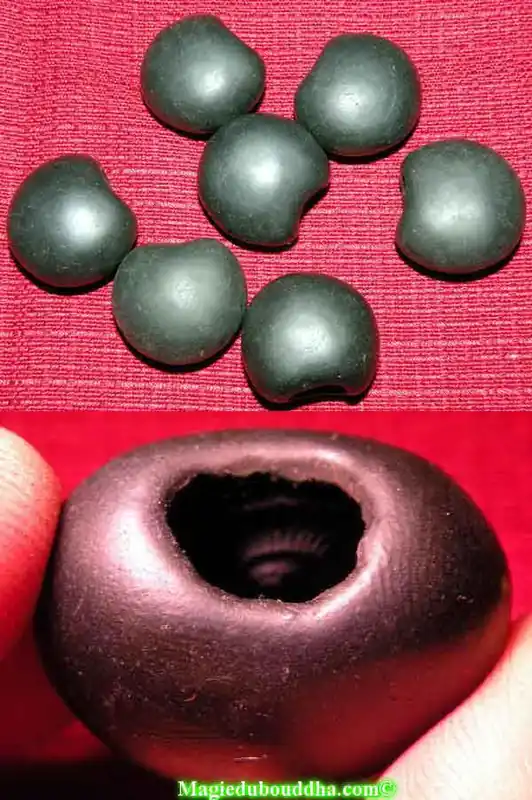 Sacred Fossils Yoni Shaligram of Parvati - fertility and abundance.