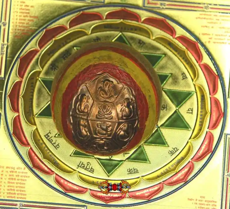 Beautiful sacred betel seeds Vighnaharta Supari of Ganesh.