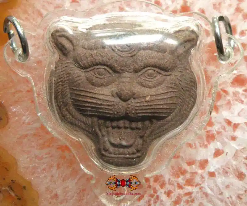 Thai Tiger Head Amulet Na Seuar - Venerable LP Pha.