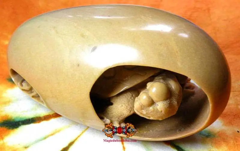 Carved Shiva Lingam - turtle.