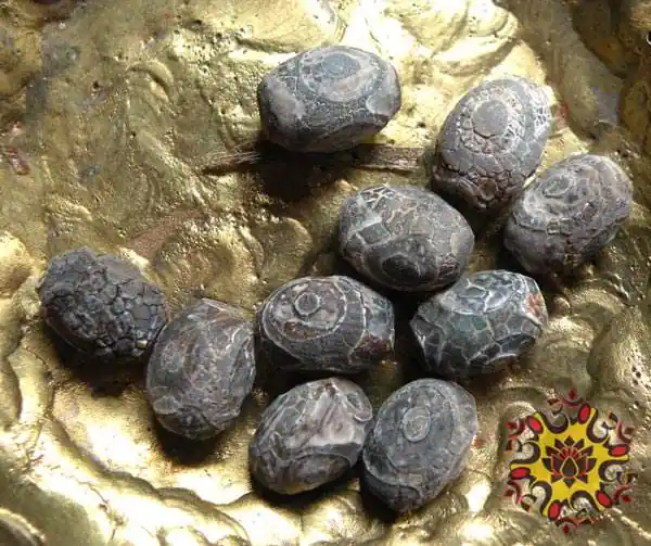 Small sacred Tibetan Dzi beads with three eyes - ancient appearance.
