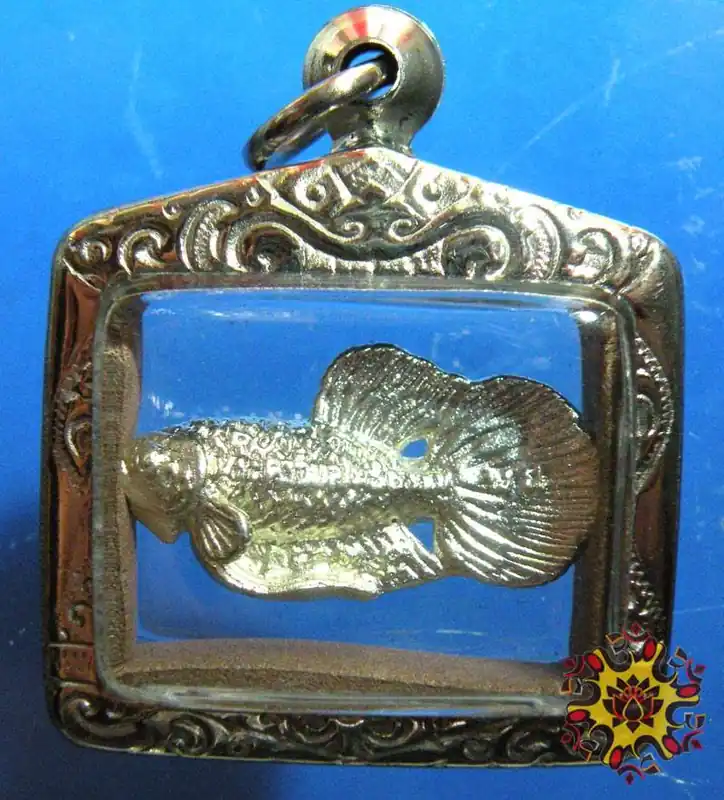 Pla Kad Ngern Fighting Fish Amulet - Very Venerable LP Nuam.