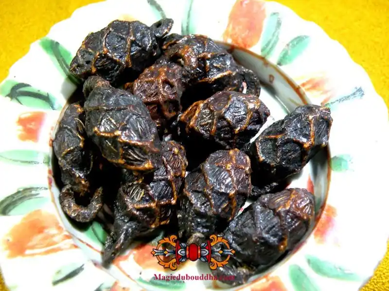 Thai Amulet Magic Seed of Invulnerability Look Mak.