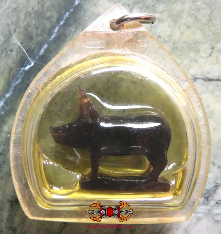 Moo Mahalap Pig Thai Amulet - Most Venerable LP Sin.