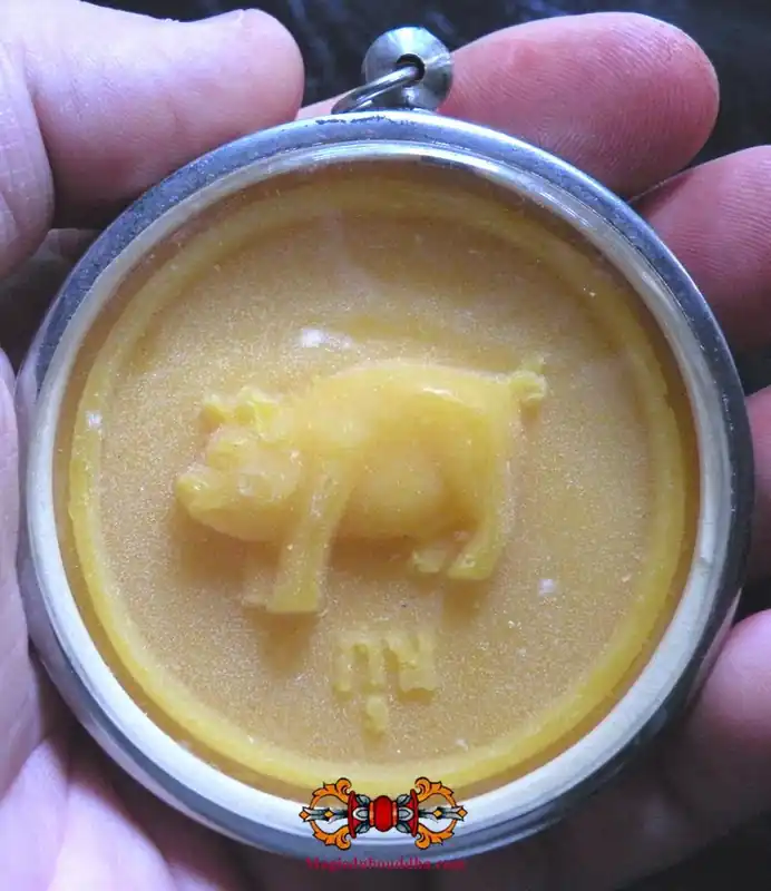 Large sacred pig amulet in wax - Most Venerable LP Watchara.