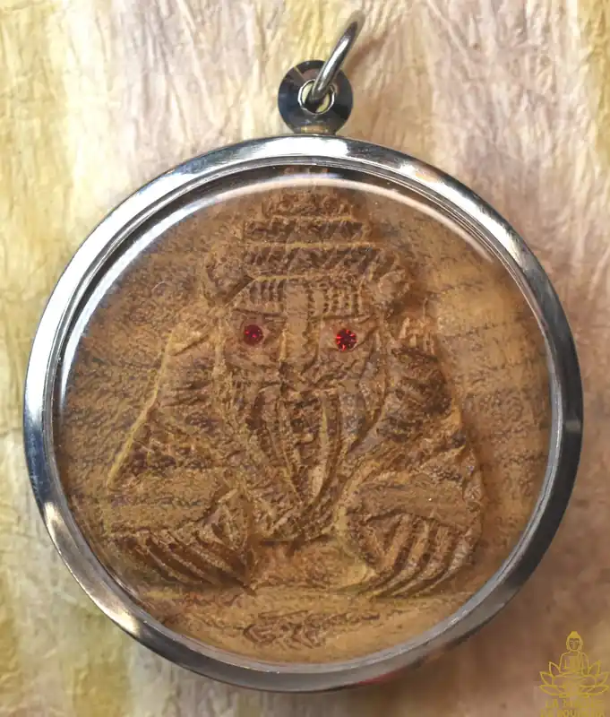 Saber-toothed tiger Boroma Phayak Kharat in sacred wood Thep Thalo – Very Venerable Luang Phor Somchaï