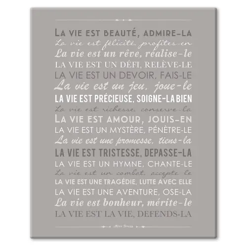 Cadre Déco "La vie est beauté"