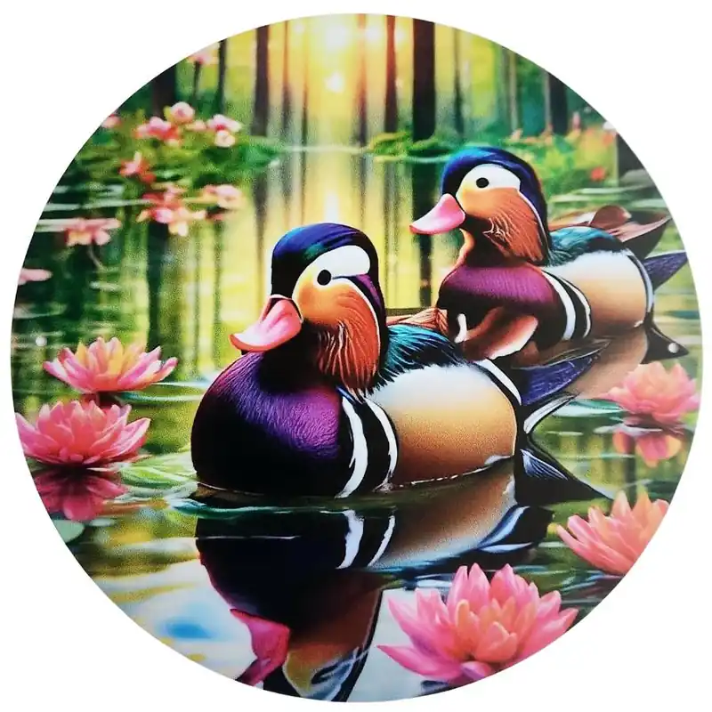 Plaque Décorative Canards de l’Amour