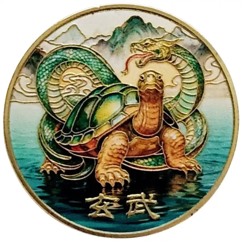 Amulette Tortue Noire Céleste
