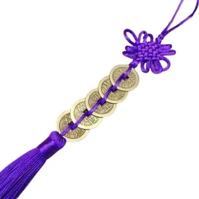 5 Pièces de l’Empereur violet Elément Feu