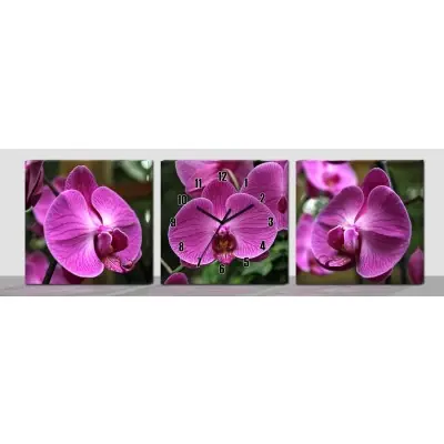 Horloge Murale Trois Fleurs d’Orchidées fushia