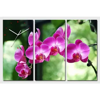 Horloge Murale Orchidées dans la Verdure