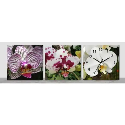 Horloge Murale Fleurs d’Orchidées Equatoriales
