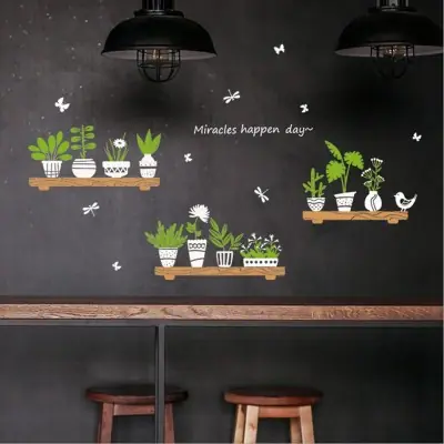 Sticker Etagères Plantes Succulentes