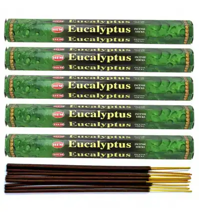 Encens Eucalyptus. Lot de 100 bâtons | HEM