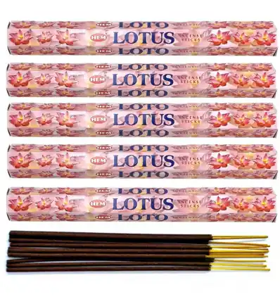 Encens Fleur de Lotus. Lot de 100 bâtons | HEM