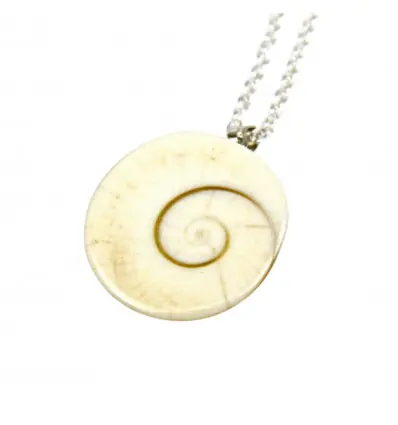 Chaîne avec pendentif coquillage œil de Sainte Lucie / œil de Shiva