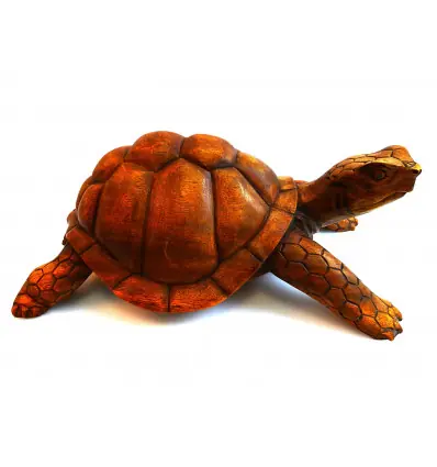 Statue Tortue de terre XL 40cm. Sculpture sur bois artisanale.