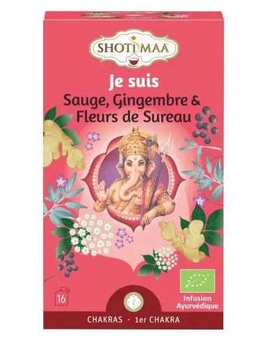 Infusion Ayurvédique Bio 1er Chakra Je Suis - Sauge, Gingembre, Sureau | Shoti Maa Chakras