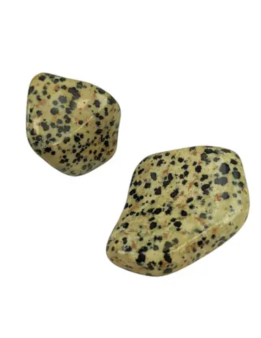 Jaspe Dalmatien - Pierres roulées 40/50g